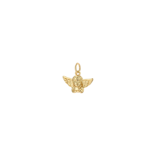 Angel Wing Charm